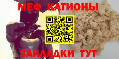 сатива Кингисепп