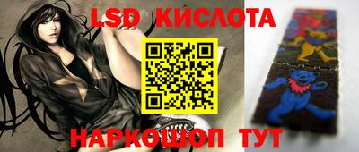 сатива Кингисепп