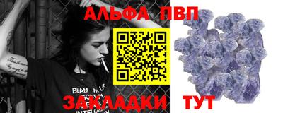 сатива Кингисепп