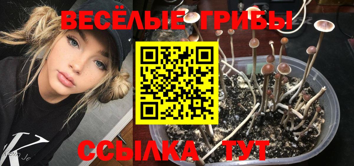 Псилоцибиновые грибы Psilocybine cubensis  Псилоцибиновые грибы Magic Shrooms  Вход с VPN  Корсаков 